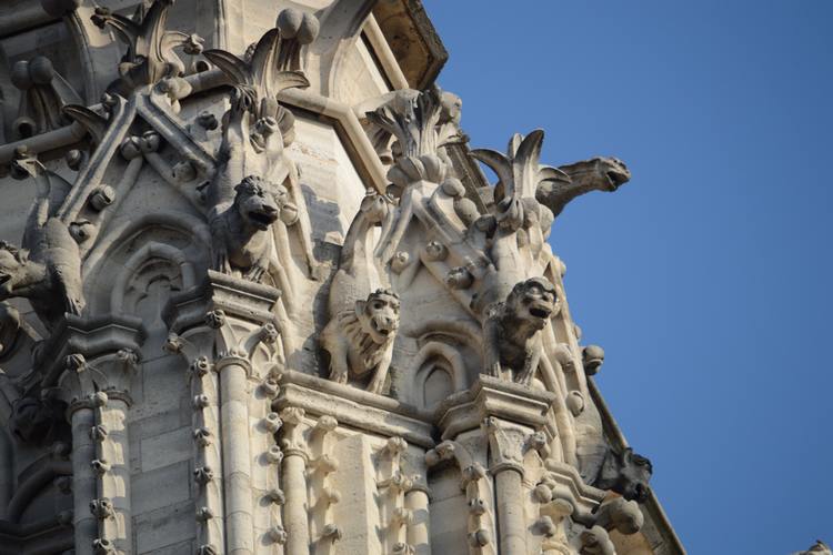 Gargouilles Notre Dame de Paris